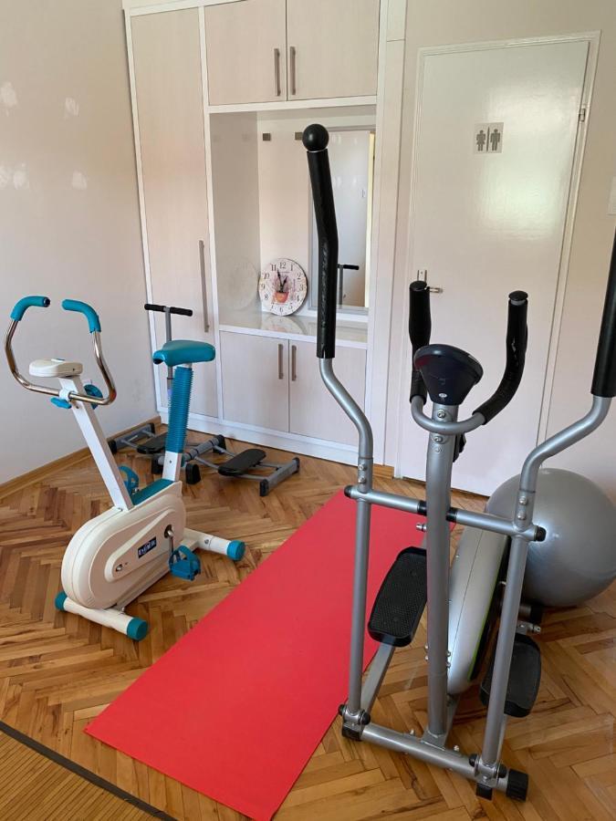 Apartmani Rajin Vrsac Luaran gambar