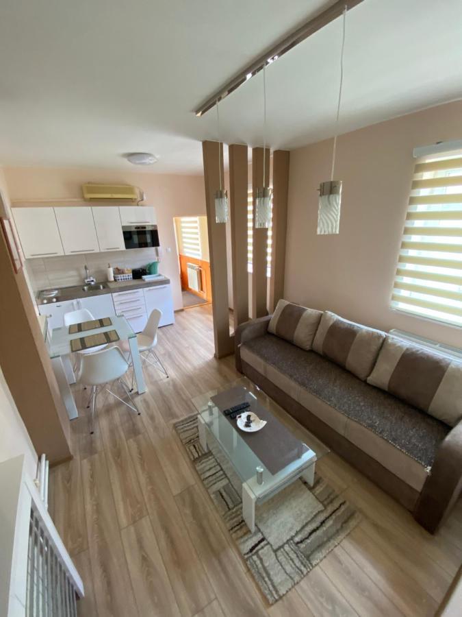 Apartmani Rajin Vrsac Luaran gambar