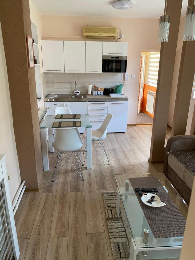 Apartmani Rajin Vrsac Luaran gambar